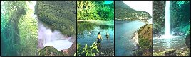 Images of Dominica - Rainforest, Boiling Lake, Macoucherie River, Scotts Head, Pagayer Falls
