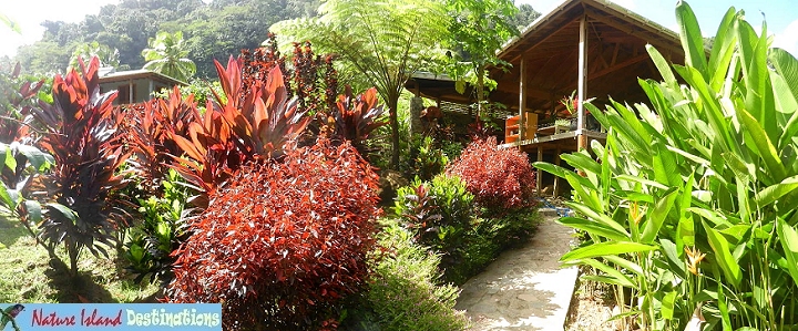 BananaLama cottage from rear garden path