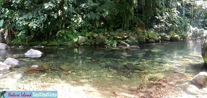 BananaLama cottage Cacao River