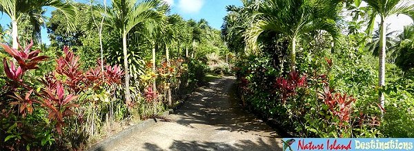 Coffee River Cottages - garden path
