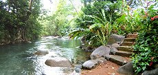 Coffee River