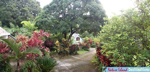 Coffee River Garden View Cottage Garden View