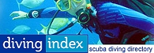 worldwide
                              scuba diving directory