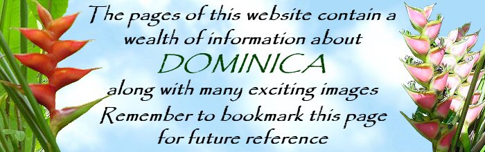 remember to bookmark this page