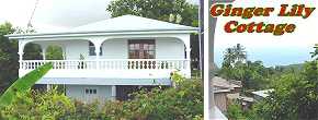 Ginger Lily
                            Cottage